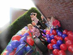 Afbeelding: 15